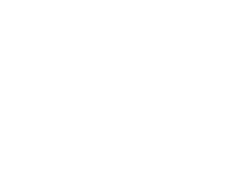 Fortune Automotive Design Inc.