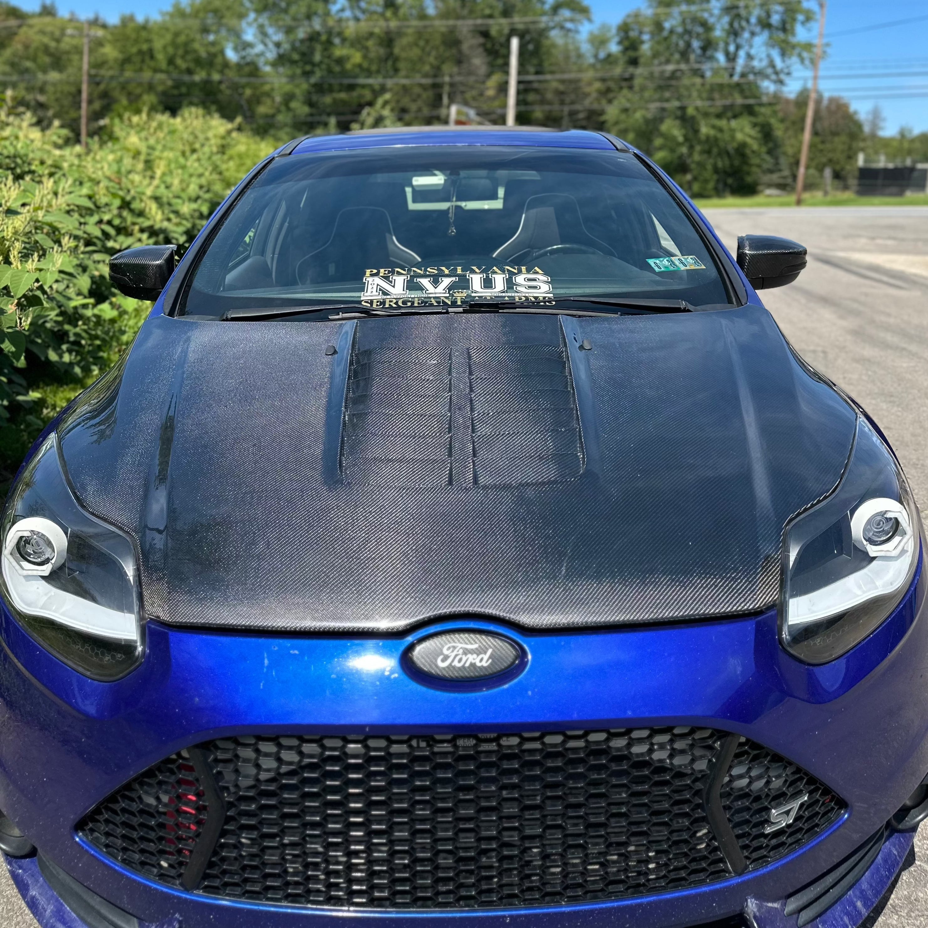 STR GT500-Style Hood for 2012-2014 Ford Focus