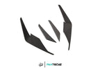 Paktechz Dry Carbon Front Canards for 2019+ Audi R8